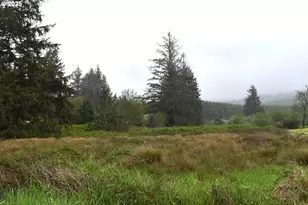 6205 Munson Creek Rd, Tillamook, OR 97141 - Photo 5