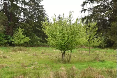 6205 Munson Creek Rd, Tillamook, OR 97141 - Photo 9