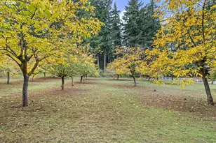 35982 Shoreview Dr, Dorena, OR 97434 - Photo 41