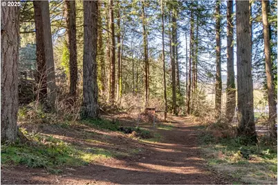 13135 SE Winston Rd, Damascus, OR 97089 - Photo 39