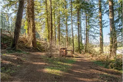 13135 SE Winston Rd, Damascus, OR 97089 - Photo 41