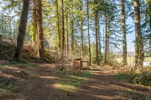 13135 SE Winston Rd, Damascus, OR 97089 - Photo 41