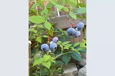 173 N Canyon Blvd, John Day, OR 97845 - Photo 5