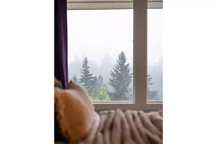 15280 S Howards Mill Rd, Mulino, OR 97042 - Photo 23