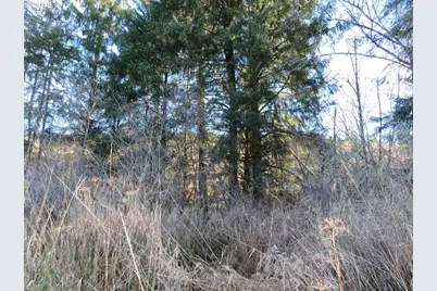 1478 E Hoquiam Rd, Hoquiam, WA 98550 - Photo 31