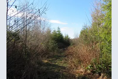 1478 E Hoquiam Rd, Hoquiam, WA 98550 - Photo 13