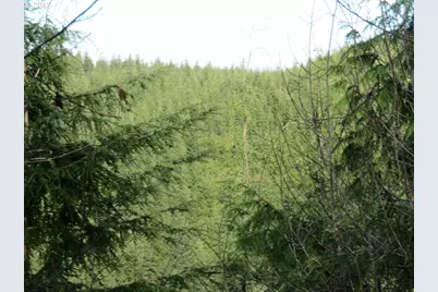 1478 E Hoquiam Rd, Hoquiam, WA 98550 - Photo 33