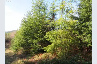 1478 E Hoquiam Rd, Hoquiam, WA 98550 - Photo 27