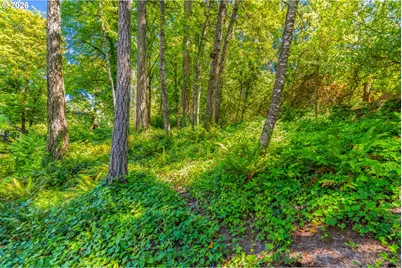 3141 Royce Way, Lake Oswego, OR 97034 - Photo 41