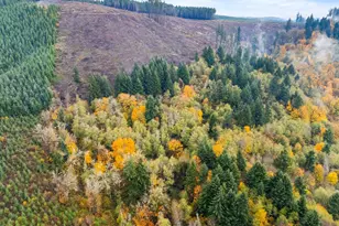 1586 King Rd, Winlock, WA 98596 - Photo 3