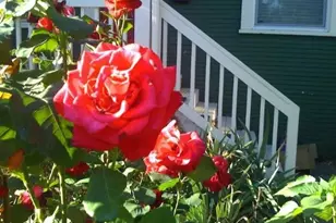 3827 SE Lincoln St, Portland, OR 97214 - Photo 27