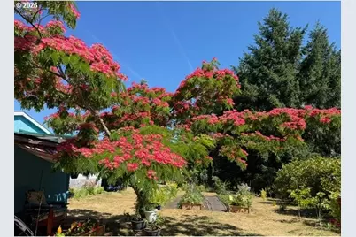 39494 May Way, Marcola, OR 97454 - Photo 41