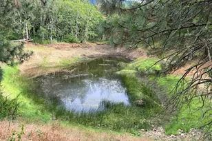 600 Centerville Hwy, Lyle, WA 98635 - Photo 39