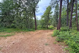 600 Centerville Hwy, Lyle, WA 98635 - Photo 45