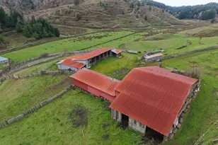70033 Larsen Ranch Rd, North Bend, OR 97459 - Photo 3
