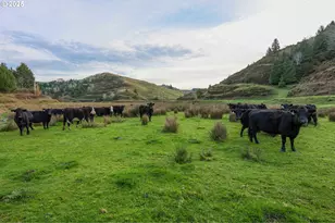 70033 Larsen Ranch Rd, North Bend, OR 97459 - Photo 29