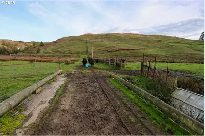 70033 Larsen Ranch Rd, North Bend, OR 97459 - Photo 35