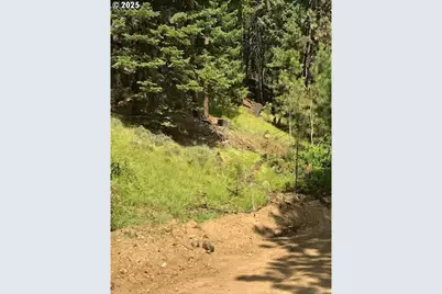 605 Sumpter Valley Hwy, Sumpter, OR 97877 - Photo 3