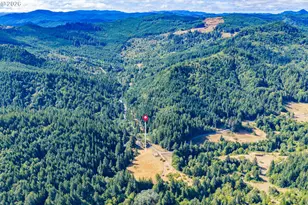 48638 Dement Creek Rd, Myrtle Point, OR 97458 - Photo 9
