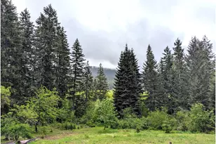 49244 Mountain View Rd, Oakridge, OR 97463 - Photo 29