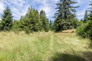 3805 Briar Knob Loop, Scotts Mills, OR 97375 - Photo 37