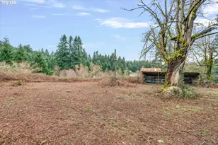 3805 Briar Knob Loop, Scotts Mills, OR 97375 - Photo 43