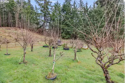 3805 Briar Knob Loop, Scotts Mills, OR 97375 - Photo 25