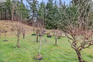 3805 Briar Knob Loop, Scotts Mills, OR 97375 - Photo 25