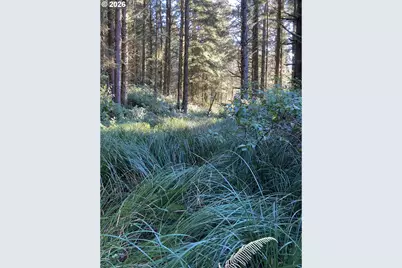 95715 Pinewood Ln, Brookings, OR 97415 - Photo 47