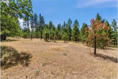 Nka Rowland Rd, Lyle, WA 98635 - Photo 5