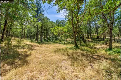 Nka Rowland Rd, Lyle, WA 98635 - Photo 11