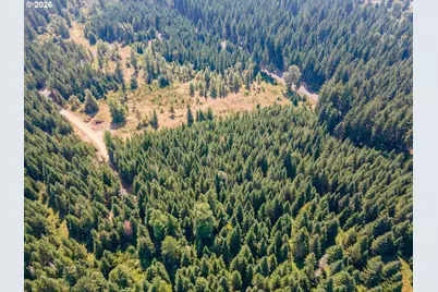 Hawk Meadows Rd #6, Carson, WA 98610 - Photo 27