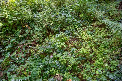 Hawk Meadows Rd #6, Carson, WA 98610 - Photo 5