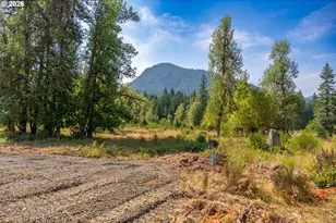 Hawk Meadows Rd, Carson, WA 98610 - Photo 1