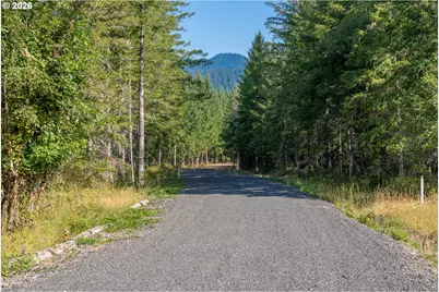 Hawk Meadows Rd #6, Carson, WA 98610 - Photo 31