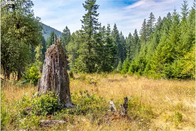 Hawk Meadows Rd #6, Carson, WA 98610 - Photo 7