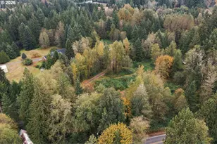 21803 NE 394th St, Amboy, WA 98601 - Photo 21