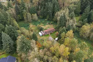 21803 NE 394th St, Amboy, WA 98601 - Photo 23