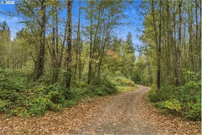 21803 NE 394th St, Amboy, WA 98601 - Photo 11