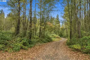 21803 NE 394th St, Amboy, WA 98601 - Photo 11