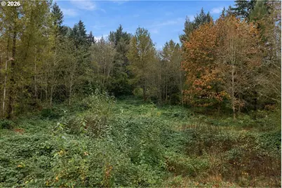 21803 NE 394th St, Amboy, WA 98601 - Photo 25