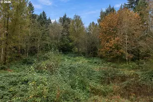 21803 NE 394th St, Amboy, WA 98601 - Photo 25
