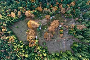 1480 Bridge Ln, Wolf Creek, OR 97497 - Photo 29