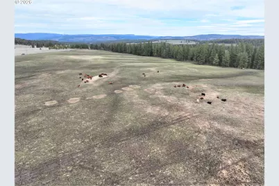 0 Yarrington Rd, Elgin, OR 97827 - Photo 11