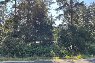 000 Puffin Ln, Manzanita, OR 97130 - Photo 5