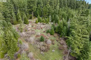 627 Canyon Rd, Lyle, WA 98635 - Photo 15