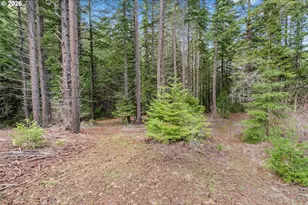 627 Canyon Rd, Lyle, WA 98635 - Photo 19