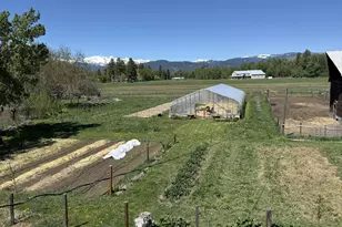 37867 Hwy 414, Halfway, OR 97834 - Photo 47