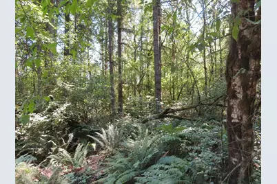 115 Campground Ln, Winlock, WA 98596 - Photo 5