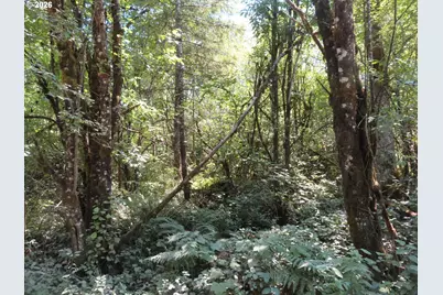 115 Campground Ln, Winlock, WA 98596 - Photo 17